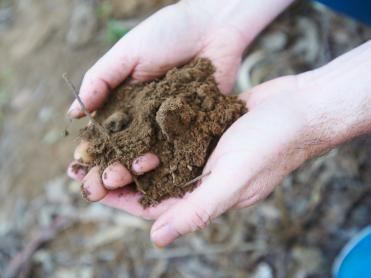 Soil profile sampling, testing, edirt program