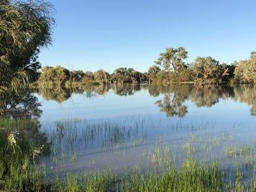 Wetlands