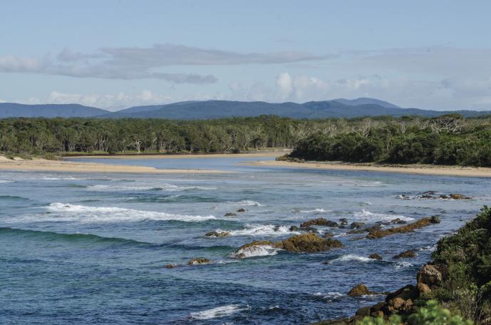 Beach environment