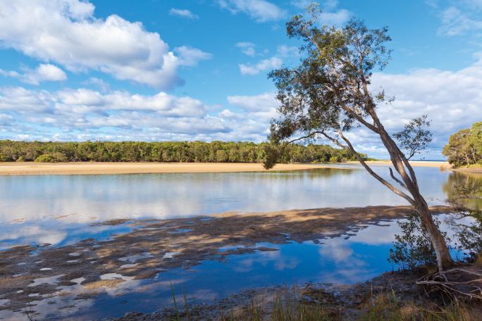 Moonee Creek nature reserve